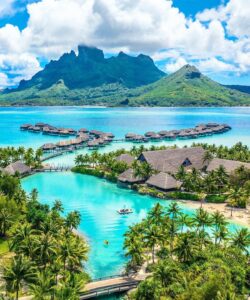 Selecția noastră de top